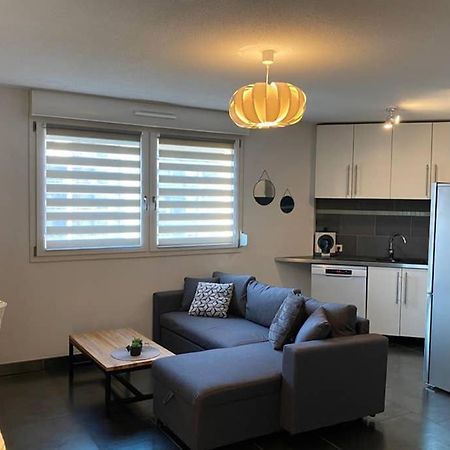 Apartamento F2 Au Calme, Proche Gare, Center Parc, Sainte Croix Sarrebourg Exterior foto